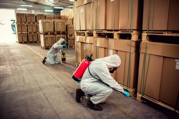 Best Affordable Pest Control Services  in Highland Acres, DE
