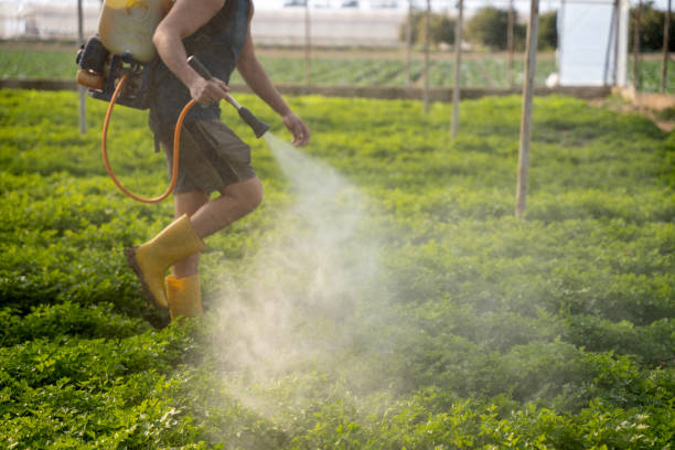 Best Best Pest Control Companies  in Highland Acres, DE