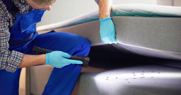 Best Pest Control Near Me  in Highland Acres, DE