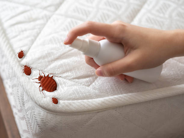 Best Local Pest Control Services  in Highland Acres, DE