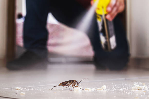 Best Pest Prevention Services  in Highland Acres, DE