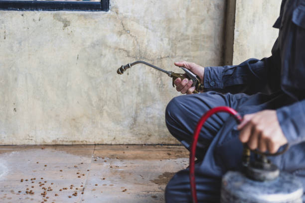 Best Residential Pest Control  in Highland Acres, DE